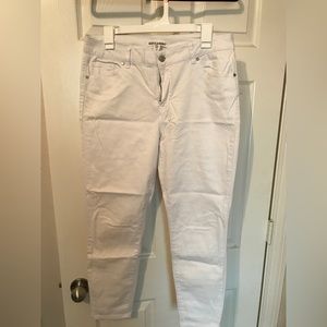 Artisan NY ankle pant